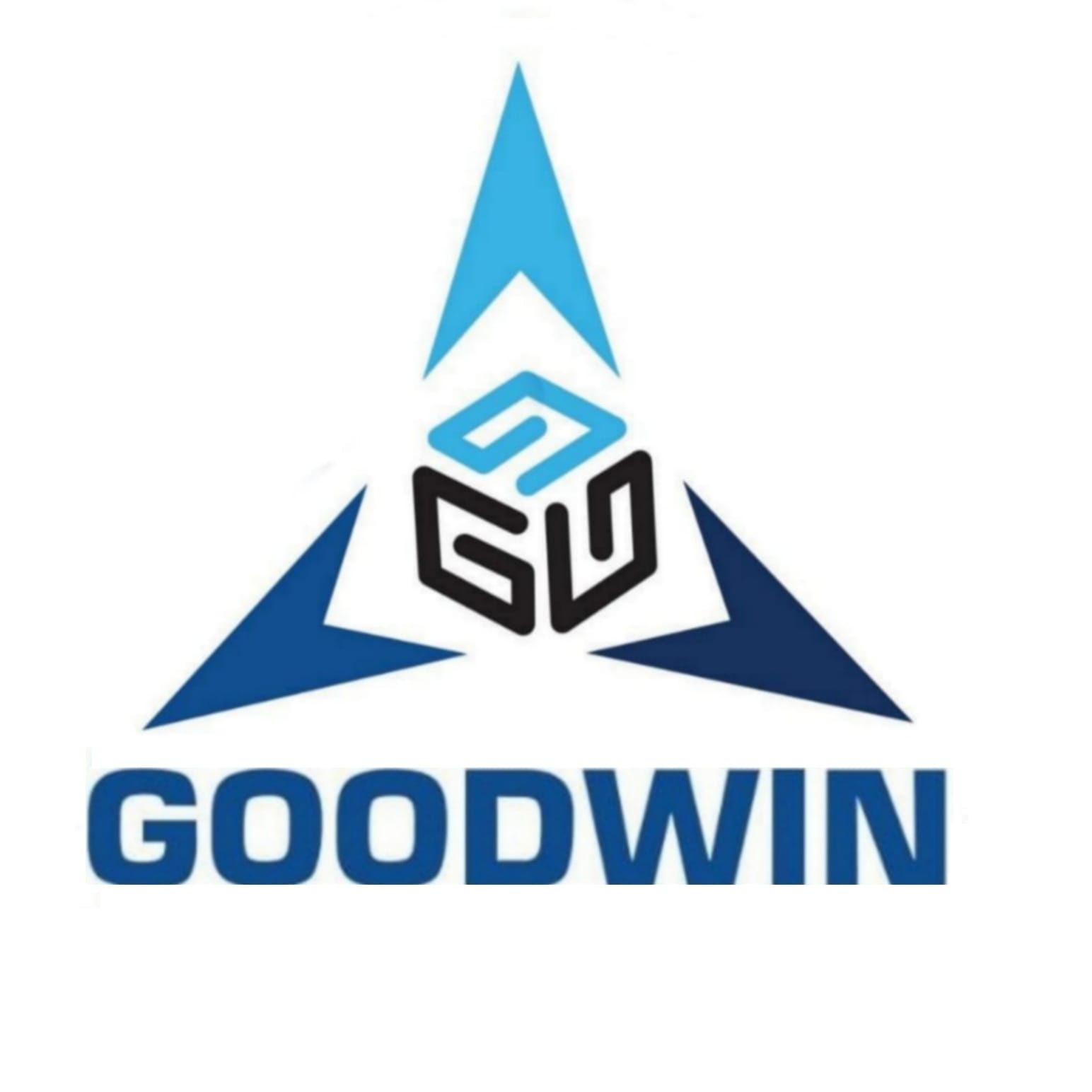 Goodwin Logo